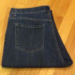 Gloria Vanderbilt Blue Denim Jeans